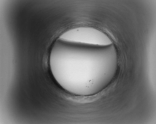 X0000100230023200805300733