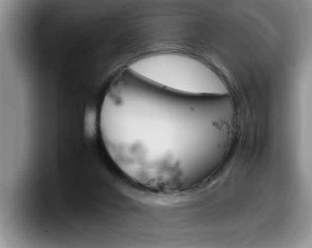 X0000100230024200805300733