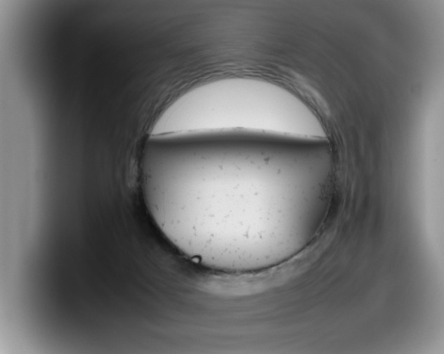X0000100230025200805300733