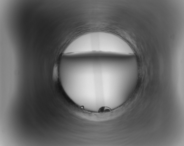 X0000100230027200805300733