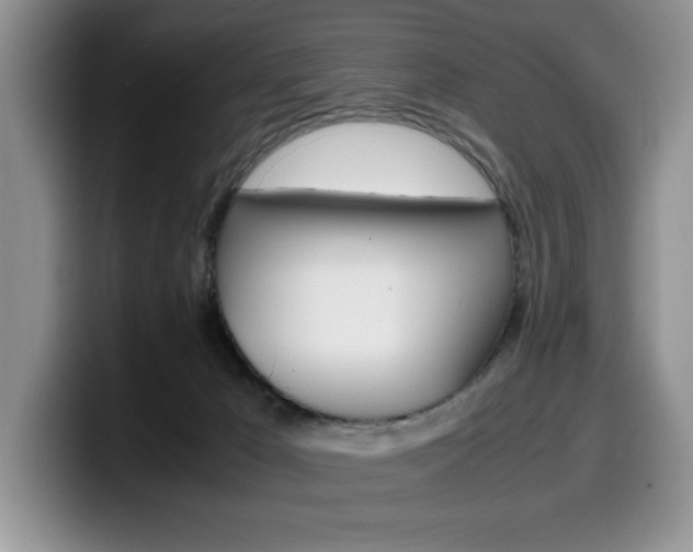 X0000100230029200805300733