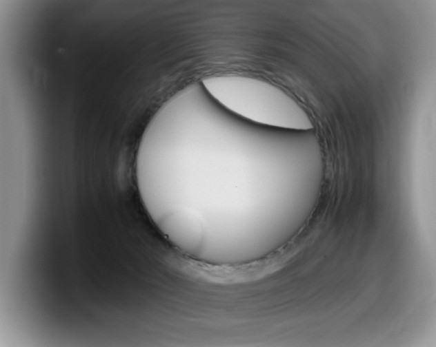 X0000100230030200805300733
