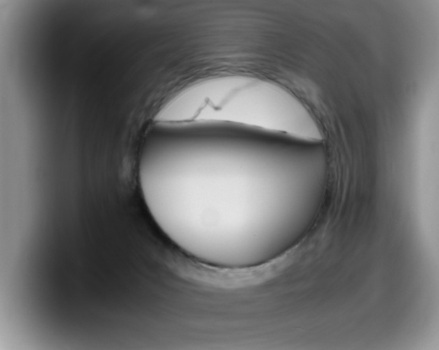 X0000100230031200805300733