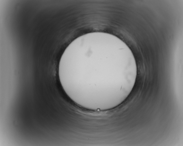 X0000100230032200805300733