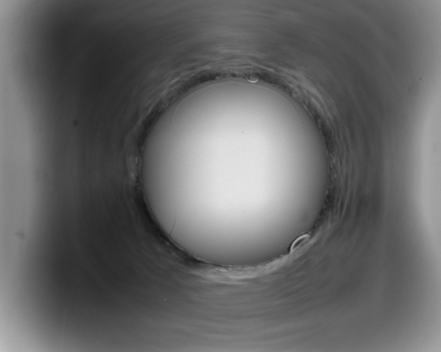 X0000100230033200805300733