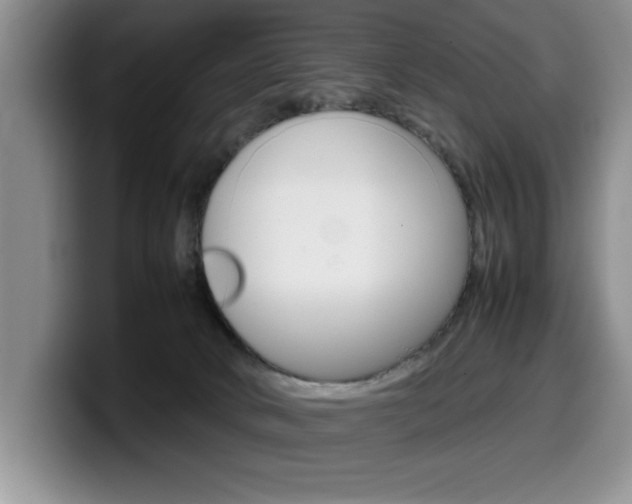 X0000100230034200805300733