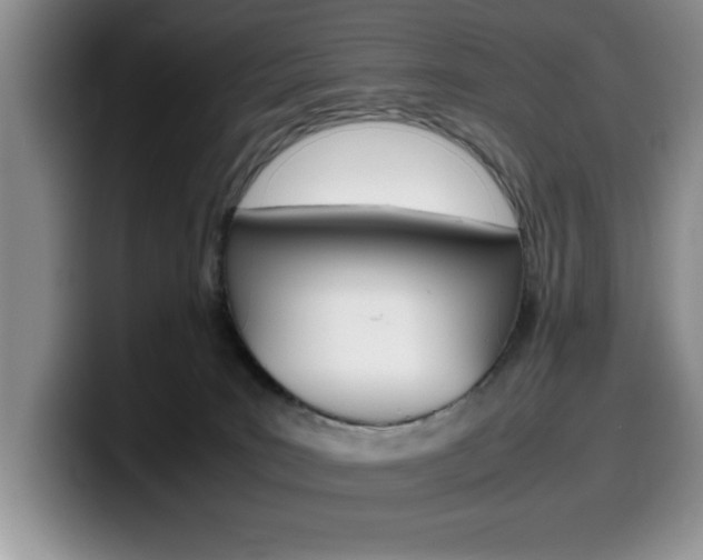 X0000100230035200805300733