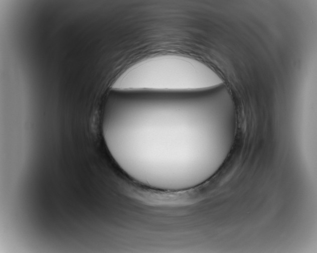 X0000100230036200805300733