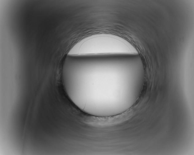 X0000100230037200805300733