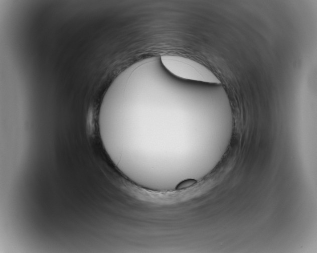 X0000100230038200805300733