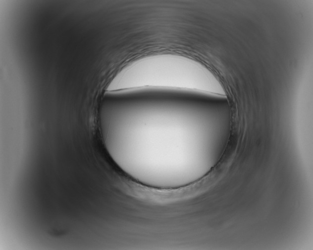 X0000100230039200805300733
