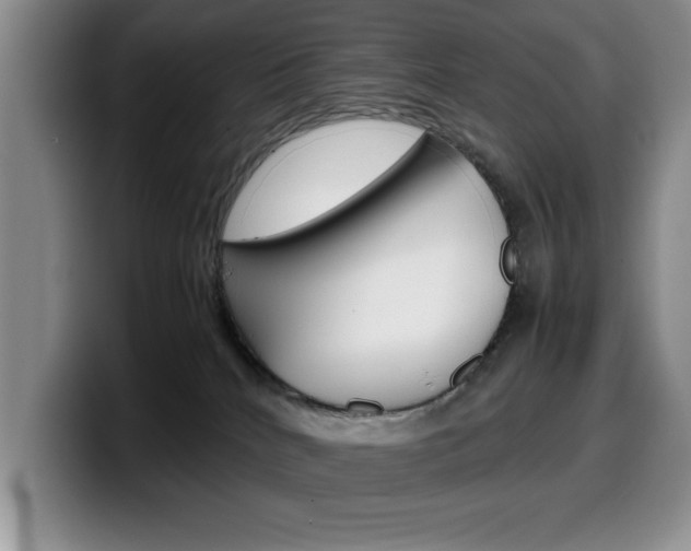 X0000100230040200805300733
