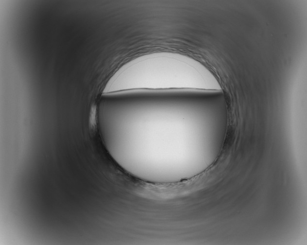 X0000100230041200805300733