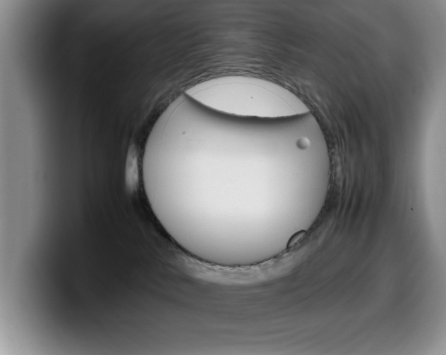 X0000100230042200805300733