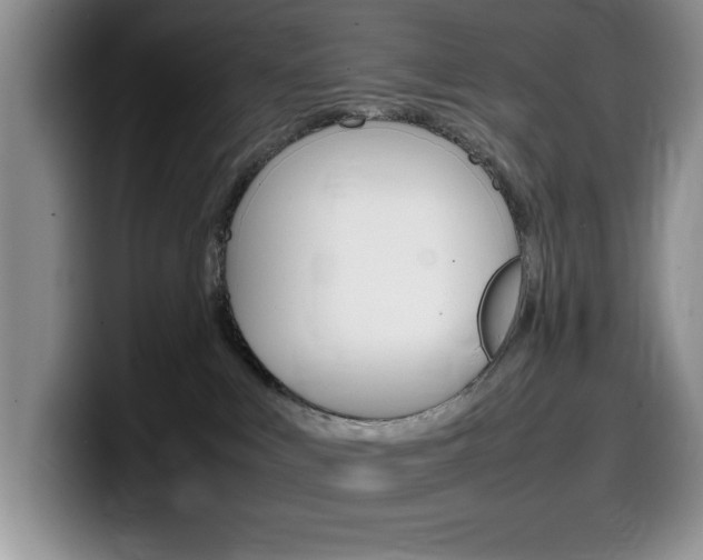 X0000100230043200805300733