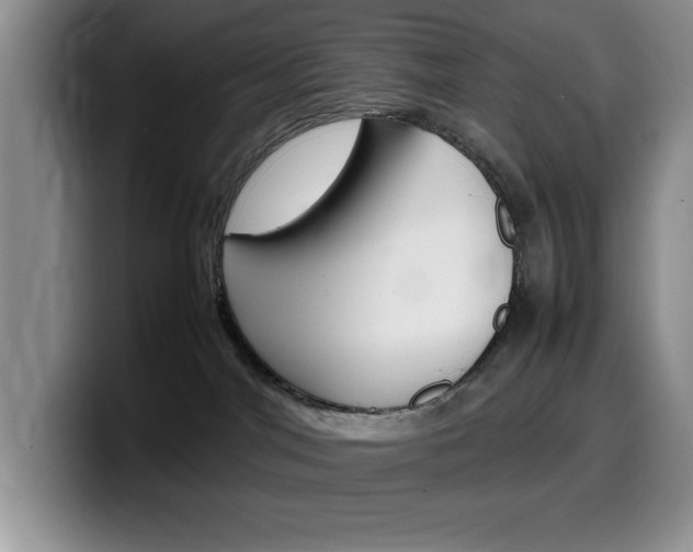 X0000100230044200805300733