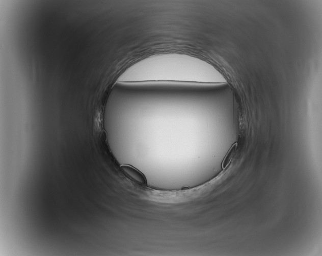 X0000100230045200805300733