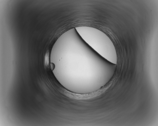 X0000100230046200805300733