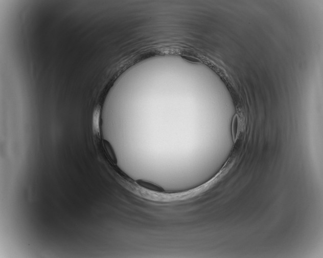 X0000100230047200805300733