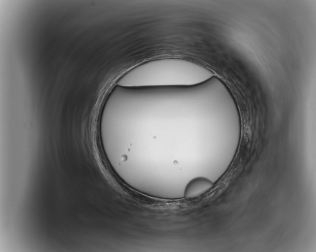 X0000100230049200805300732