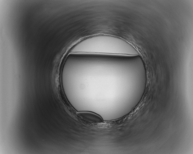 X0000100230050200805300732
