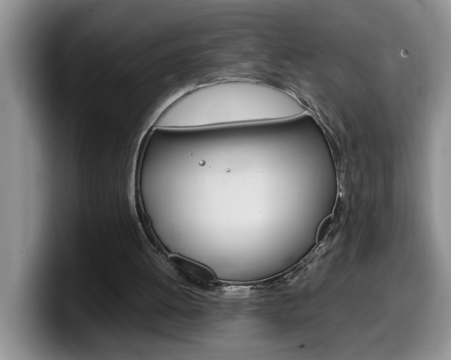 X0000100230052200805300732