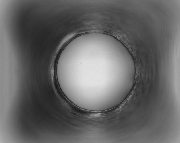 X0000100230054200805300732