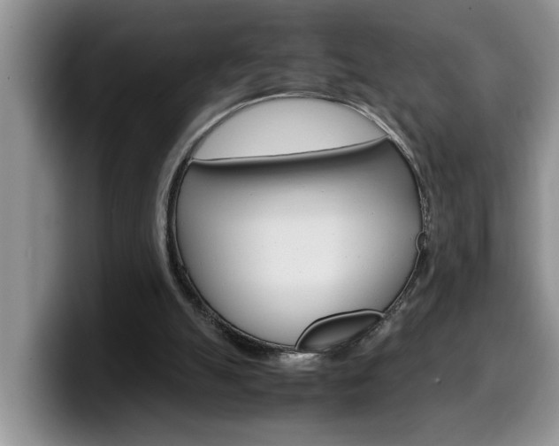 X0000100230055200805300732