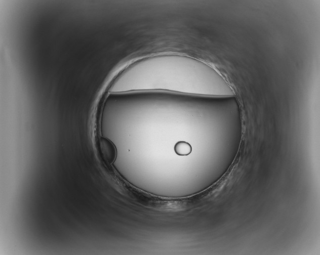X0000100230056200805300732