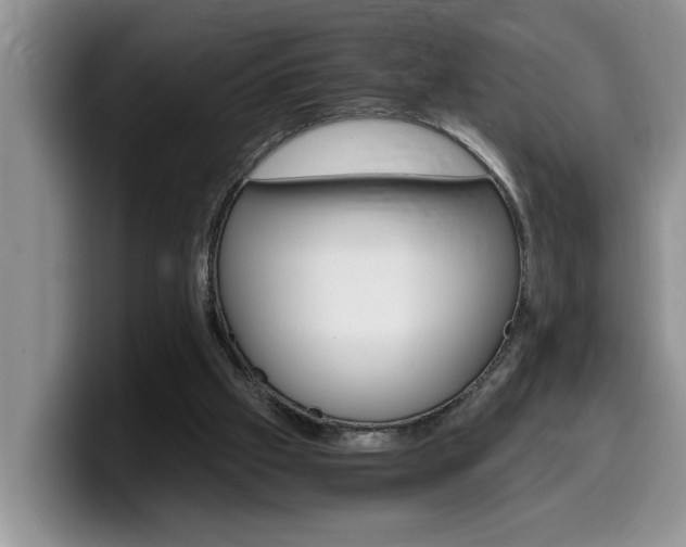 X0000100230057200805300732