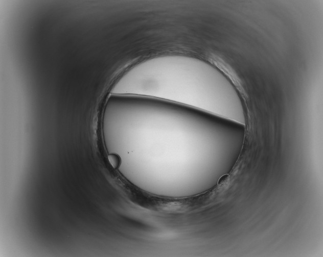 X0000100230058200805300732