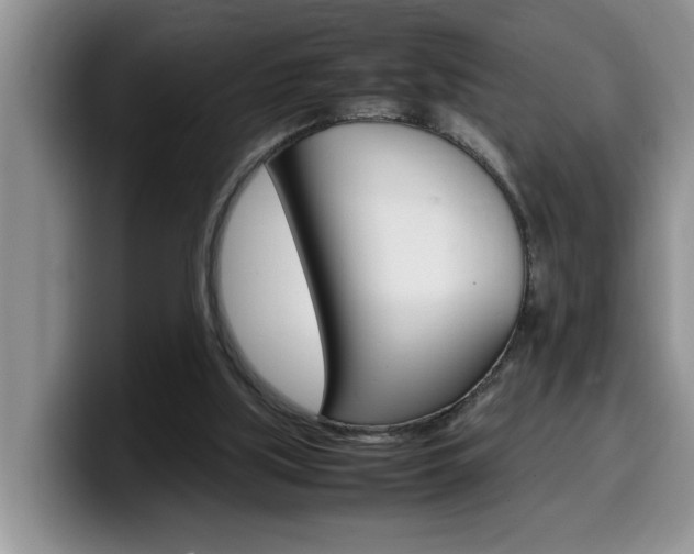 X0000100230059200805300732