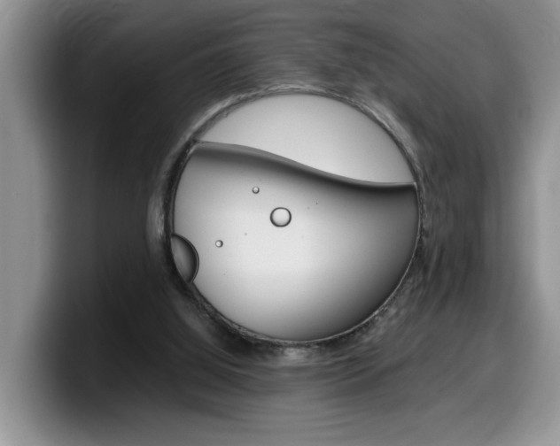X0000100230060200805300732