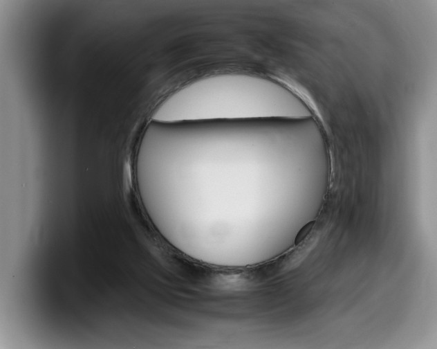 X0000100230061200805300732