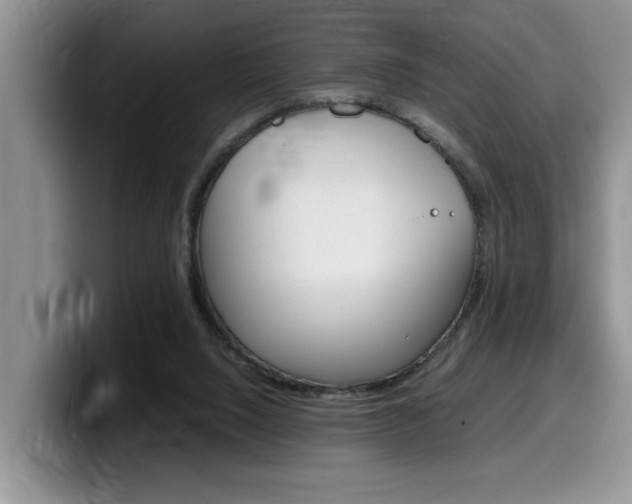 X0000100230064200805300732