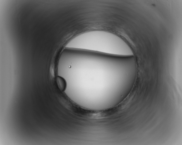 X0000100230068200805300732