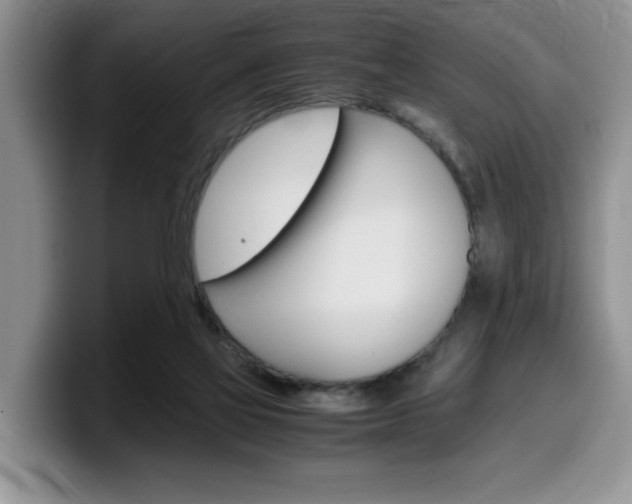 X0000100230069200805300732