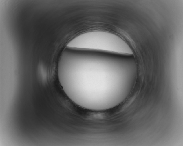 X0000100230073200805300732