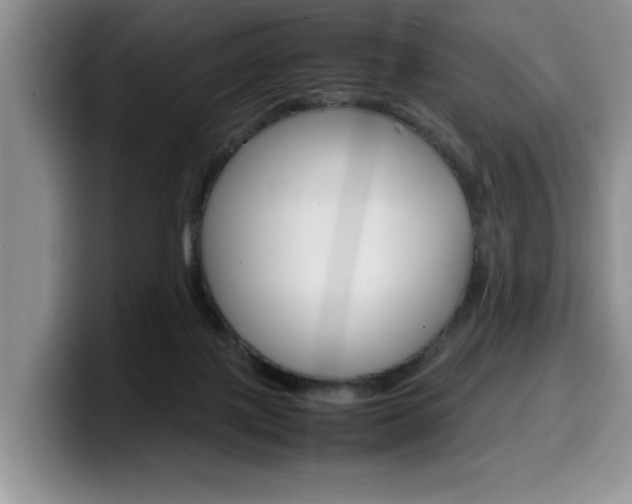 X0000100230075200805300733