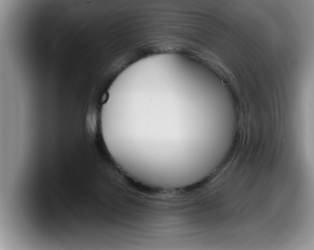 X0000100230076200805300733
