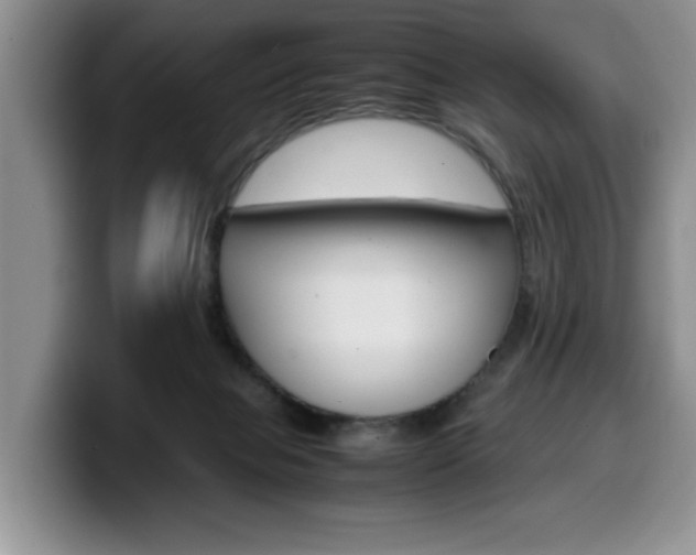 X0000100230077200805300733