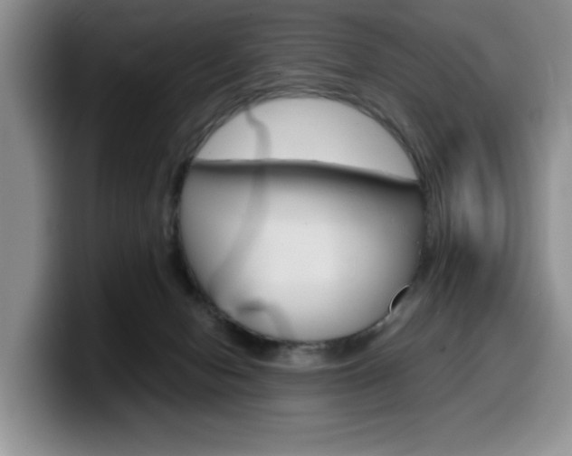 X0000100230078200805300733