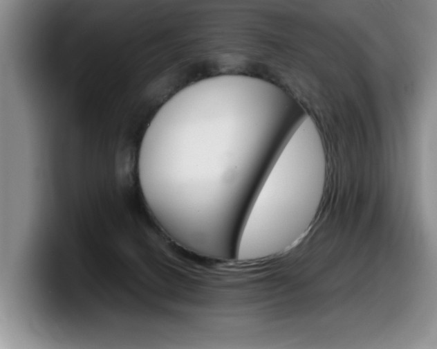 X0000100230082200805300733