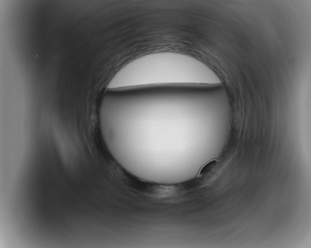 X0000100230085200805300733