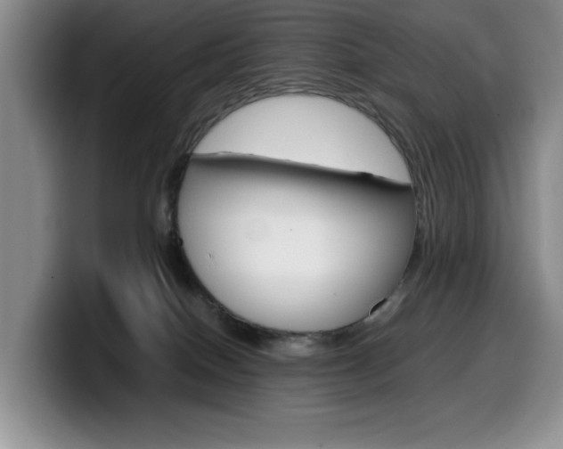X0000100230086200805300733