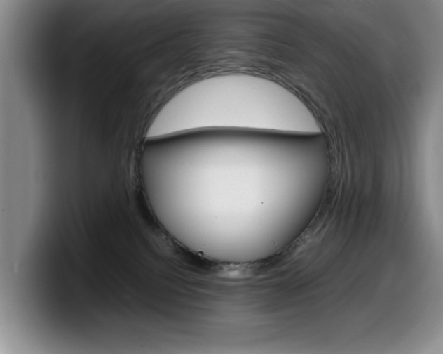 X0000100230088200805300733