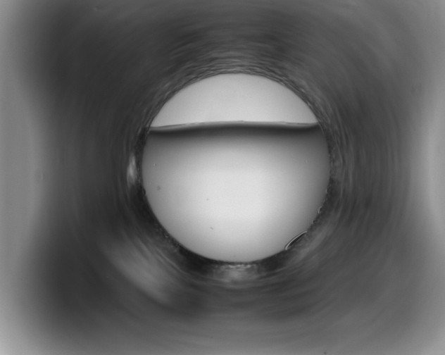 X0000100230089200805300733