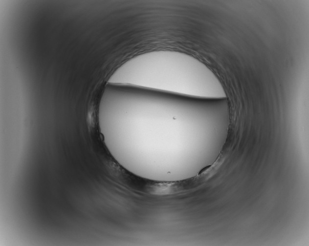 X0000100230090200805300733