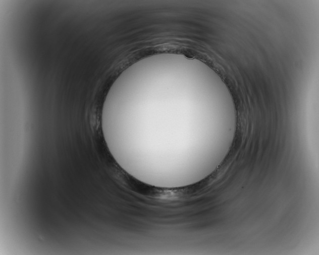 X0000100230091200805300733