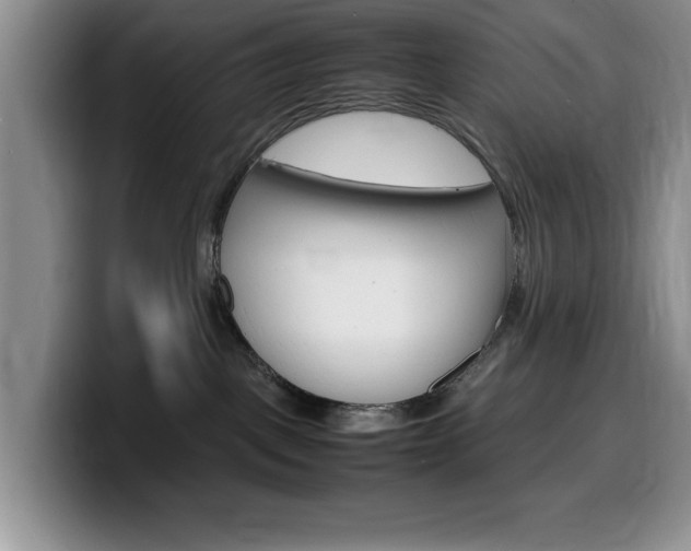 X0000100230093200805300733